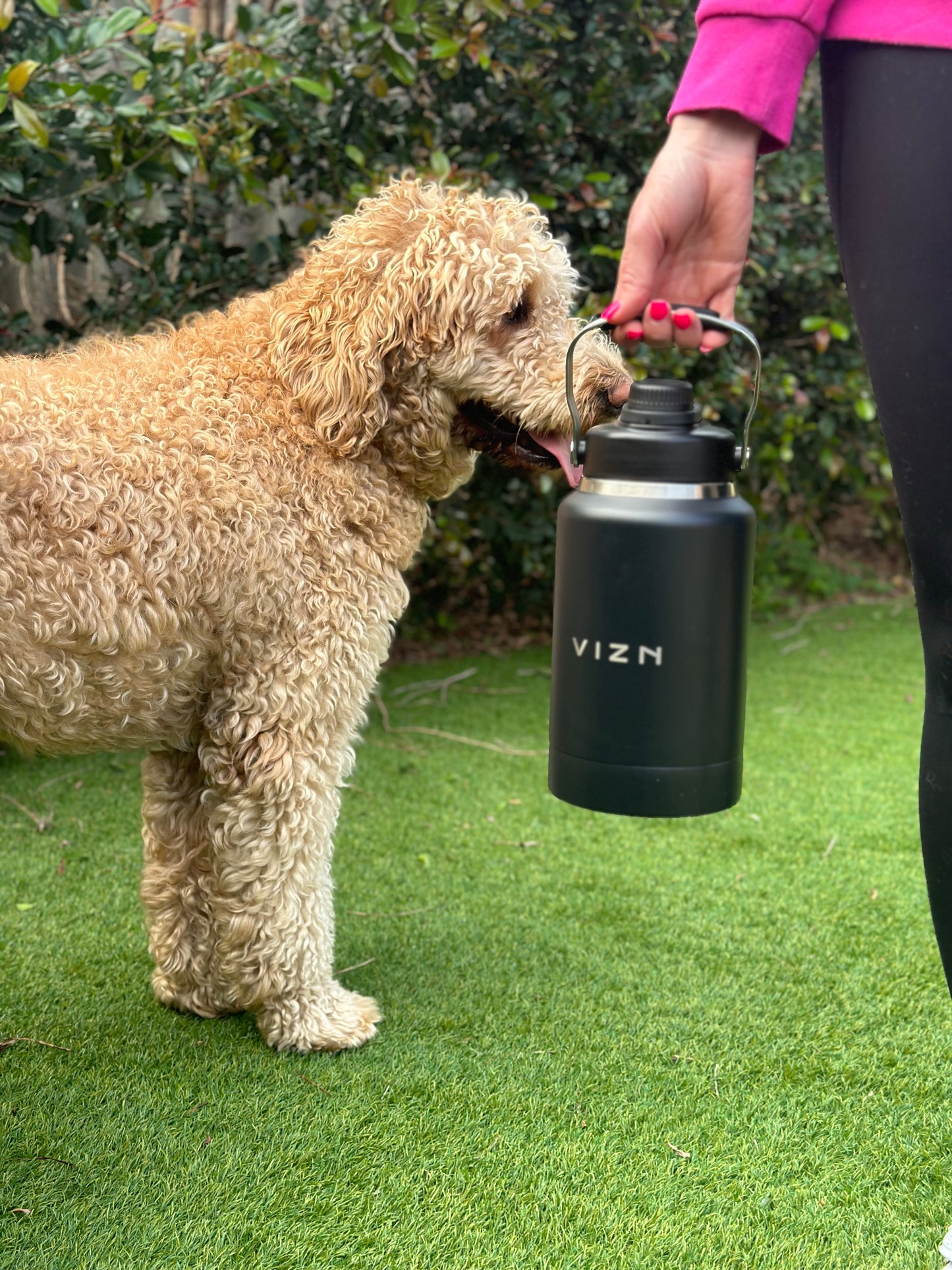 Double-walled vacuum insulated dog water bottle with bowl for outdoor adventures