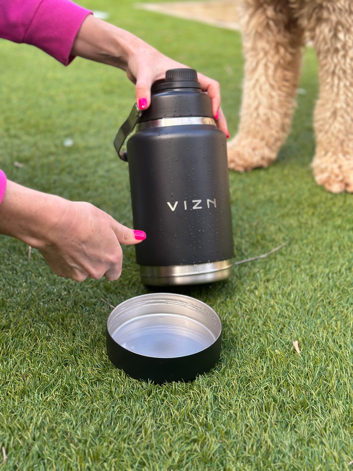 Leak-proof and condensation-free water bottle for dogs on long workdays